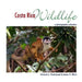 Costa Rica Wildlife: A Photographic Collection by Amber G. Elliott