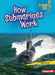 How Submarines Work by Walt Brody