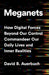 Meganets: How Digital Forces Beyond Our Control Commandeer Our Daily Lives and Inner Realities by David B. Auerbach