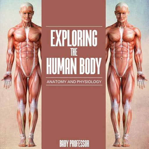 Exploring the Human Body Anatomy and Physiology by Baby Professor