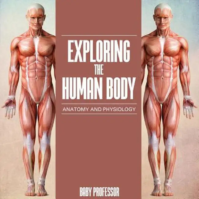 Exploring the Human Body Anatomy and Physiology by Baby Professor