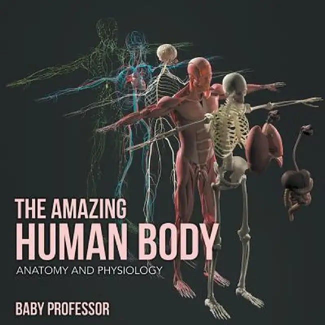 The Amazing Human Body Anatomy and Physiology by Baby Professor