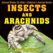 Insects and Arachnids: Animal Books for Kids Children's Animal Books by Baby Professor