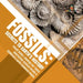 Fossils: Secrets to Earth's History - Fossil Guide - Geology for Teens - Interactive Science Grade 8 - Children's Earth Science by Baby Professor