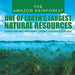 The Amazon Rainforest: One of Earth's Largest Natural Resources - Children's Books about Forests Grade 4 - Children's Environment & Ecology B by Baby Professor