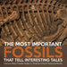 The Most Important Fossils That Tell Interesting Tales Curious About Fossils Grade 5 Children's Earth Sciences Books by Baby Professor