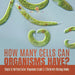 How Many Cells Can Organisms Have? Single & Multicellular Organisms Grade 5 Children's Biology Books by Baby Professor