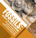 Fossils: Secrets to Earth's History - Fossil Guide - Geology for Teens - Interactive Science Grade 8 - Children's Earth Science by Baby Professor