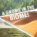 A Gnome in the Biome!: Understanding Forests, Deserts & Grassland Ecosystems Grade 5 Social Studies Children's Geography Books by Baby Professor
