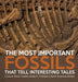 The Most Important Fossils That Tell Interesting Tales Curious About Fossils Grade 5 Children's Earth Sciences Books by Baby Professor