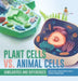 Plant Cells vs. Animal Cells: Similarities and Differences Cells for Kids Science Book for Grade 5 Children's Biology Books by Baby Professor