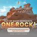 Out of Many Sediments, One Rock! Understanding Sedimentary Rock Types and Formation Grade 6-8 Earth Science by Baby Professor