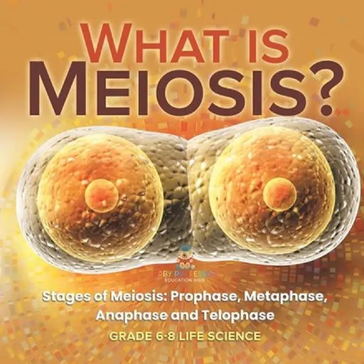 What is Meiosis? Stages of Meiosis, Prophase, Metaphase, Anaphase and Telophase Grade 6-8 Life Science by Baby Professor