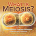 What is Meiosis? Stages of Meiosis, Prophase, Metaphase, Anaphase and Telophase Grade 6-8 Life Science by Baby Professor