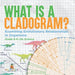 What is a Cladogram? Examining Evolutionary Relationships in Organisms Grade 6-8 Life Science by Baby Professor
