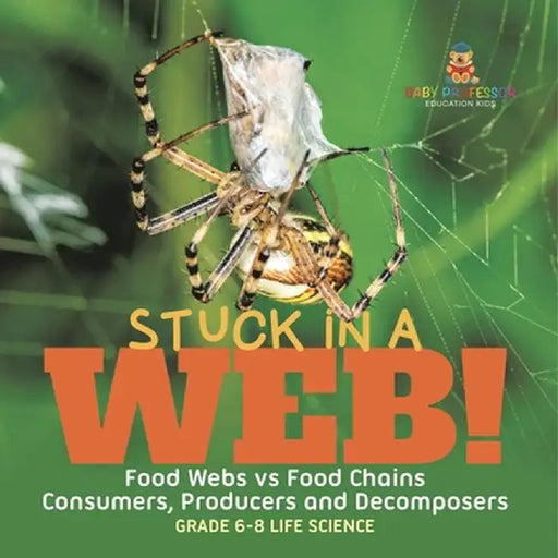 Stuck in a Web! Food Webs vs Food Chains Consumers, Producers and Decomposers Grade 6-8 Life Science by Baby Professor