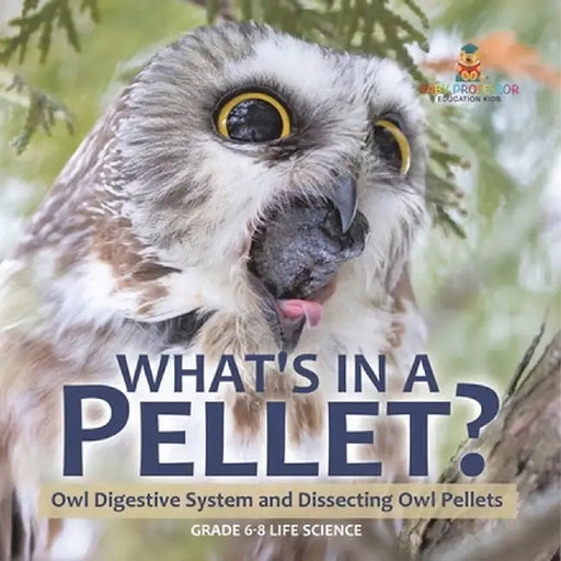 What's in a Pellet? Owl Digestive System and Dissecting Owl Pellets Grade 6-8 Life Science by Baby Professor