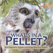 What's in a Pellet? Owl Digestive System and Dissecting Owl Pellets Grade 6-8 Life Science by Baby Professor