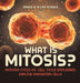 What is Mitosis? Mitosis Cycle vs. Cell Cycle Explained Diploid Daughter Cells Grade 6-8 Life Science by Baby Professor