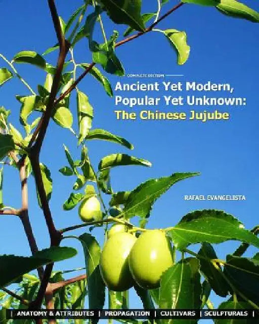 Ancient Yet Modern, Popular Yet Unknown: The Chinese Jujube: An In-Depth Guide to Growing and Propagating Chinese Jujubes by Patricia Evangelista