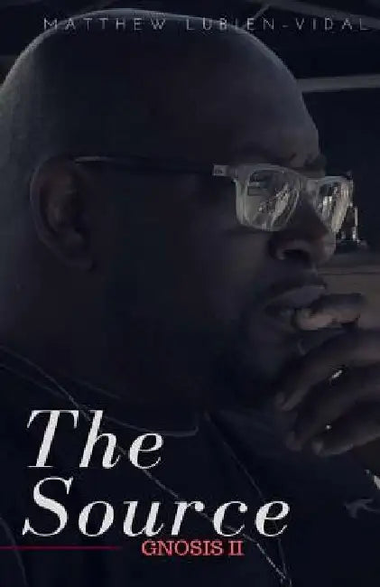 The Source: The Law of Attraction by Matthew Lubien Vidaal
