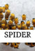 Spider by Spider