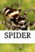 Spider by Spider