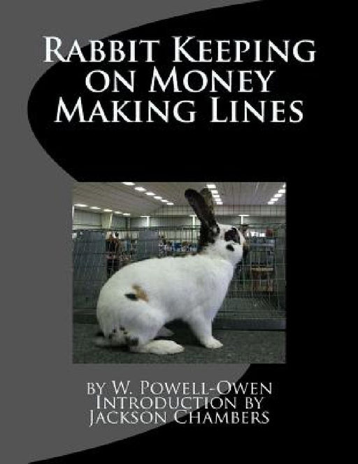 Rabbit Keeping on Money Making Lines by Jackson Chambers