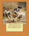 The dog in health and in disease, including his origin, history, varieties, breeding, education, and general management in health, and his treatment i by Wesley Mills