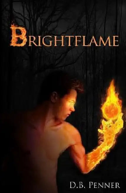 Brightflame by D. B. Penner