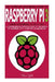 Raspberry Pi: The Complete Beginner's Guide To Raspberry Pi 3: Learn Raspberry Pi In A Day - A Comprehensive Introduction To The Bas by Steve Gold