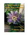 The Edgar Cayce Plant Encyclopedia Volume One by F. Michael Pinkava