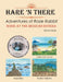 Hare 'n There Adventures of Rosie Rabbit: Rosie at the Mexican Riviera by Diane Herak