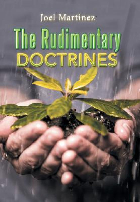 The Rudimentary Doctrines by Joel Martinez