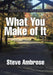 What You Make of It by Steve Ambrose