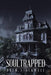 Soultrapped by Drew Stockwell