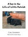 A Day in the Life of Little Patrick by Carl Anderson