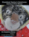 Steamboat Sammy's Adventures: Sammy's First Winter by April Gardner, Troy Gardner