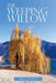 The Weeping Willow by Ben O'Dea