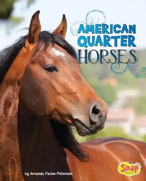 American Quarter Horses by Amanda Parise-Peterson