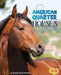 American Quarter Horses by Amanda Parise-Peterson