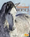 Thoroughbred Horses by John Diedrich