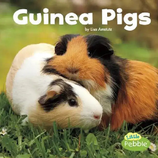 Guinea Pigs by Lisa J. Amstutz