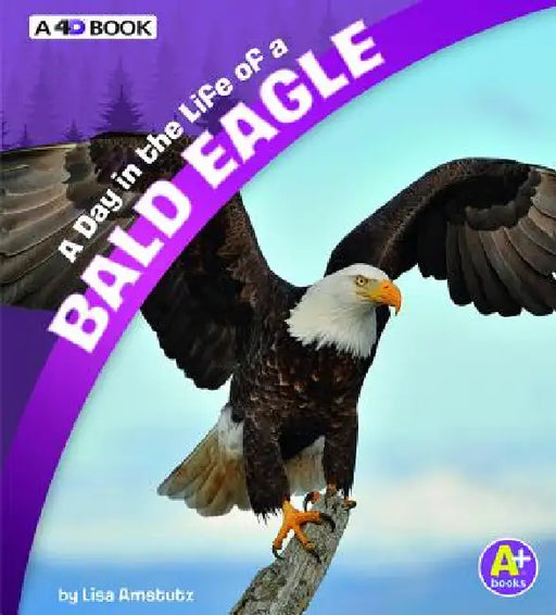 A Day in the Life of a Bald Eagle: A 4D Book by Lisa J. Amstutz