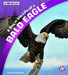 A Day in the Life of a Bald Eagle: A 4D Book by Lisa J. Amstutz