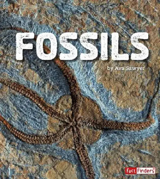 Fossils by Ava Sawyer