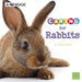 Caring for Rabbits: A 4D Book by Tammy Gagne