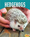 Hedgehogs by Paula M. Wilson