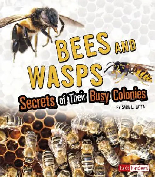Bees and Wasps: Secrets of Their Busy Colonies by Sara L. Latta