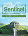 Sentinel by Ravindran K. Malayil